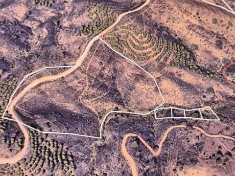 TERRENO RÚSTICO COM 29.400 M² - COM POÇO - LINHA DE ÁGUA - PARTE PLANA - PRÓXIMO A ALDEIA DA CORTE DO GAGO - AZINHAL EM CASTRO MARIM - ALGARVE