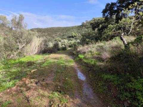 TERRENO RÚSTICO COM 29.400 M² - COM POÇO - LINHA DE ÁGUA - PARTE PLANA - PRÓXIMO A ALDEIA DA CORTE DO GAGO - AZINHAL EM CASTRO MARIM - ALGARVE