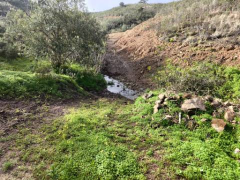 TERRENO RÚSTICO COM 29.400 M² - COM POÇO - LINHA DE ÁGUA - PARTE PLANA - PRÓXIMO A ALDEIA DA CORTE DO GAGO - AZINHAL EM CASTRO MARIM - ALGARVE