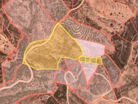 TERRENO RÚSTICO COM 29.400 M² - COM POÇO - LINHA DE ÁGUA - PARTE PLANA - PRÓXIMO A ALDEIA DA CORTE DO GAGO - AZINHAL EM CASTRO MARIM - ALGARVE