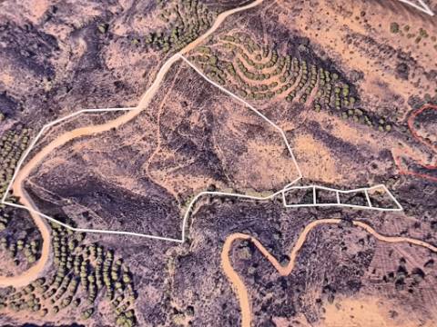 TERRENO RÚSTICO COM 29.400 M² - COM POÇO - LINHA DE ÁGUA - PARTE PLANA - PRÓXIMO A ALDEIA DA CORTE DO GAGO - AZINHAL EM CASTRO MARIM - ALGARVE