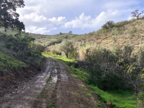 TERRENO RÚSTICO COM 29.400 M² - COM POÇO - LINHA DE ÁGUA - PARTE PLANA - PRÓXIMO A ALDEIA DA CORTE DO GAGO - AZINHAL EM CASTRO MARIM - ALGARVE