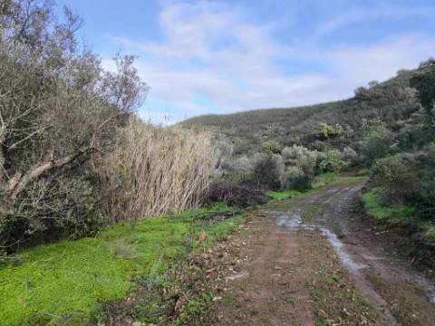 TERRENO RÚSTICO COM 29.400 M² - COM POÇO - LINHA DE ÁGUA - PARTE PLANA - PRÓXIMO A ALDEIA DA CORTE DO GAGO - AZINHAL EM CASTRO MARIM - ALGARVE