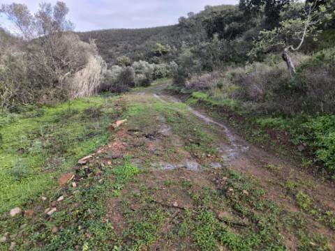TERRENO RÚSTICO COM 29.400 M² - COM POÇO - LINHA DE ÁGUA - PARTE PLANA - PRÓXIMO A ALDEIA DA CORTE DO GAGO - AZINHAL EM CASTRO MARIM - ALGARVE