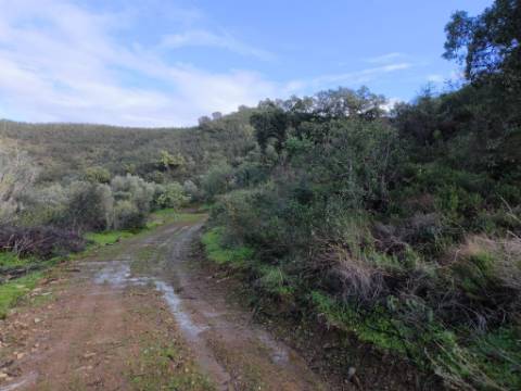 TERRENO RÚSTICO COM 29.400 M² - COM POÇO - LINHA DE ÁGUA - PARTE PLANA - PRÓXIMO A ALDEIA DA CORTE DO GAGO - AZINHAL EM CASTRO MARIM - ALGARVE