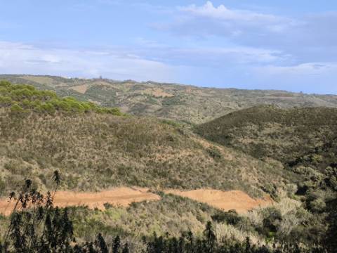 TERRENO RÚSTICO COM 29.400 M² - COM POÇO - LINHA DE ÁGUA - PARTE PLANA - PRÓXIMO A ALDEIA DA CORTE DO GAGO - AZINHAL EM CASTRO MARIM - ALGARVE