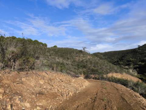 TERRENO RÚSTICO COM 29.400 M² - COM POÇO - LINHA DE ÁGUA - PARTE PLANA - PRÓXIMO A ALDEIA DA CORTE DO GAGO - AZINHAL EM CASTRO MARIM - ALGARVE