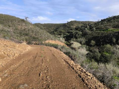 TERRENO RÚSTICO COM 29.400 M² - COM POÇO - LINHA DE ÁGUA - PARTE PLANA - PRÓXIMO A ALDEIA DA CORTE DO GAGO - AZINHAL EM CASTRO MARIM - ALGARVE