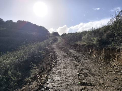 TERRENO RÚSTICO COM 29.400 M² - COM POÇO - LINHA DE ÁGUA - PARTE PLANA - PRÓXIMO A ALDEIA DA CORTE DO GAGO - AZINHAL EM CASTRO MARIM - ALGARVE