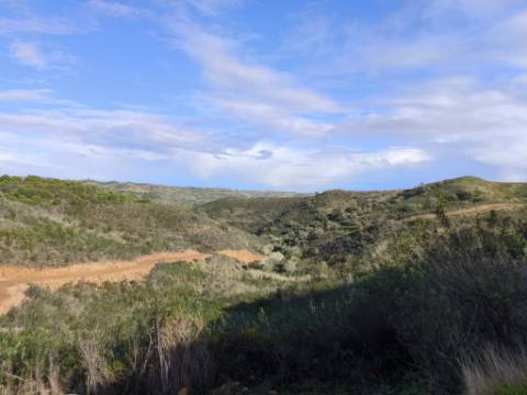 TERRENO RÚSTICO COM 29.400 M² - COM POÇO - LINHA DE ÁGUA - PARTE PLANA - PRÓXIMO A ALDEIA DA CORTE DO GAGO - AZINHAL EM CASTRO MARIM - ALGARVE