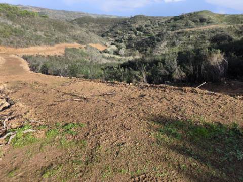 TERRENO RÚSTICO COM 29.400 M² - COM POÇO - LINHA DE ÁGUA - PARTE PLANA - PRÓXIMO A ALDEIA DA CORTE DO GAGO - AZINHAL EM CASTRO MARIM - ALGARVE