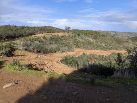 TERRENO RÚSTICO COM 29.400 M² - COM POÇO - LINHA DE ÁGUA - PARTE PLANA - PRÓXIMO A ALDEIA DA CORTE DO GAGO - AZINHAL EM CASTRO MARIM - ALGARVE