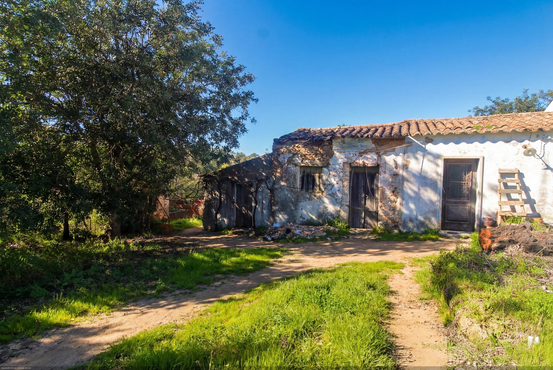 Quinta com 2ha em Santo Estêvão, Tavira
