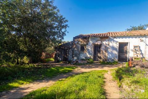 Quinta com 2ha em Santo Estêvão, Tavira