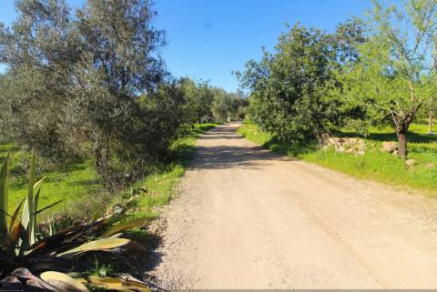 Quinta com 2ha em Santo Estêvão, Tavira