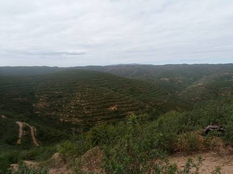 Propriedade Exclusiva na Barragem do Funcho - Terreno Único com Ancoradouro Privativo