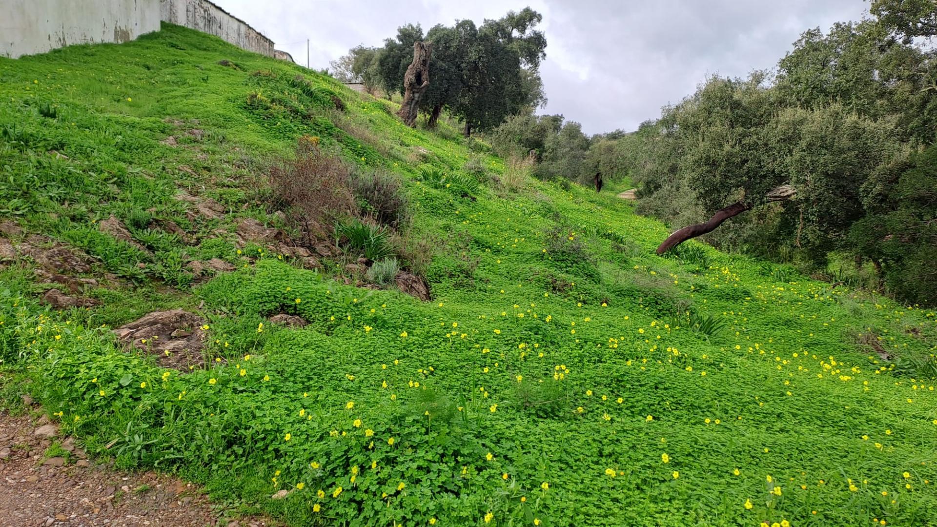 Terreno com 19990 m2 com área total de construção de 1587.62m2
