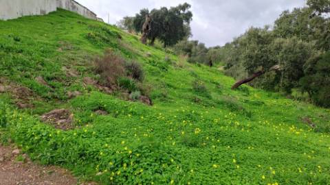 Terreno com 19990 m2 com área total de construção de 1587.62m2