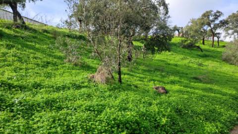 Terreno com 19990 m2 com área total de construção de 1587.62m2