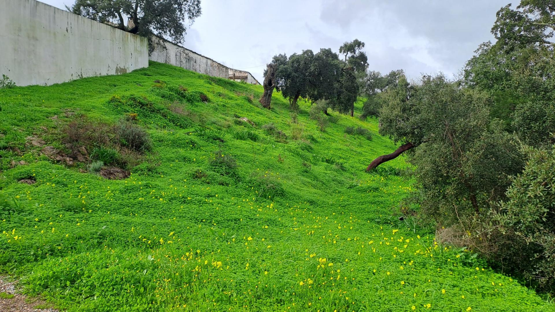 Terreno com 19990 m2 com área total de construção de 1587.62m2