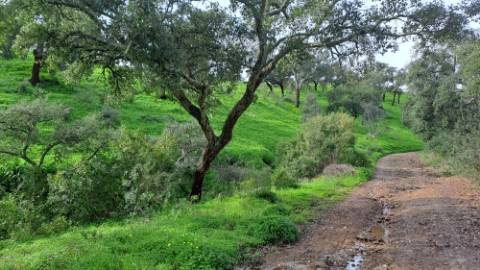 Terreno com 19990 m2 com área total de construção de 1587.62m2