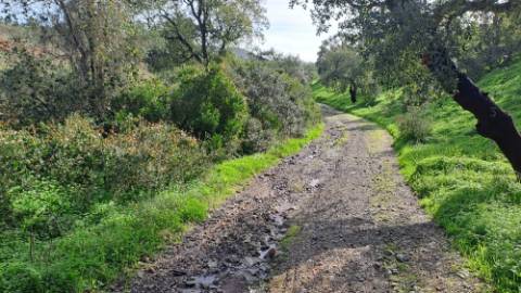 Terreno com 19990 m2 com área total de construção de 1587.62m2
