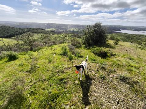 TERRENO COM 57.240 M2 - COM DOIS FUROS DE ÁGUA - PROXIMO A BARRAGEM DO BELICHE - SENTINELA - CASTRO MARIM - ALGARVE