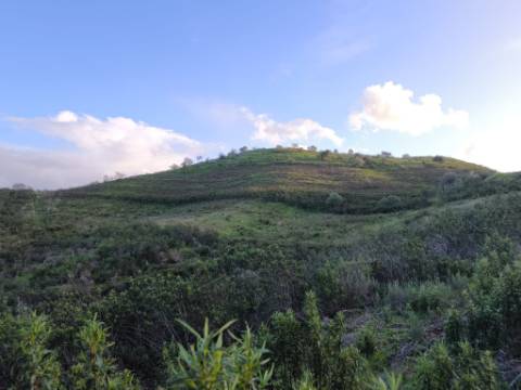 TERRENO COM 57.240 M2 - COM DOIS FUROS DE ÁGUA - PROXIMO A BARRAGEM DO BELICHE - SENTINELA - CASTRO MARIM - ALGARVE