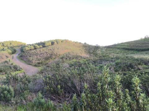 TERRENO COM 57.240 M2 - COM DOIS FUROS DE ÁGUA - PROXIMO A BARRAGEM DO BELICHE - SENTINELA - CASTRO MARIM - ALGARVE