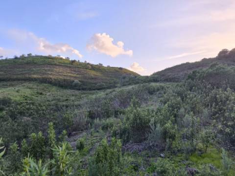 TERRENO COM 57.240 M2 - COM DOIS FUROS DE ÁGUA - PROXIMO A BARRAGEM DO BELICHE - SENTINELA - CASTRO MARIM - ALGARVE