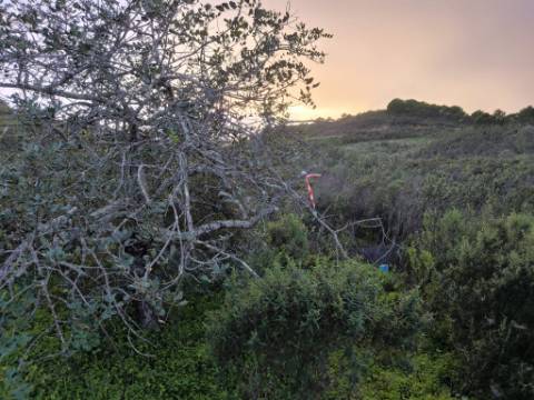 TERRENO COM 57.240 M2 - COM DOIS FUROS DE ÁGUA - PROXIMO A BARRAGEM DO BELICHE - SENTINELA - CASTRO MARIM - ALGARVE