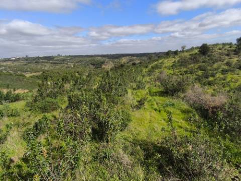 TERRENO COM 57.240 M2 - COM DOIS FUROS DE ÁGUA - PROXIMO A BARRAGEM DO BELICHE - SENTINELA - CASTRO MARIM - ALGARVE