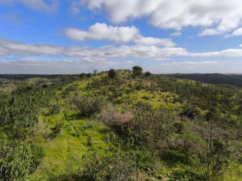 TERRENO COM 57.240 M2 - COM DOIS FUROS DE ÁGUA - PROXIMO A BARRAGEM DO BELICHE - SENTINELA - CASTRO MARIM - ALGARVE