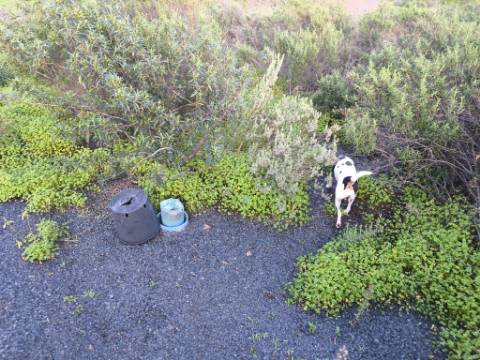TERRENO COM 57.240 M2 - COM DOIS FUROS DE ÁGUA - PROXIMO A BARRAGEM DO BELICHE - SENTINELA - CASTRO MARIM - ALGARVE