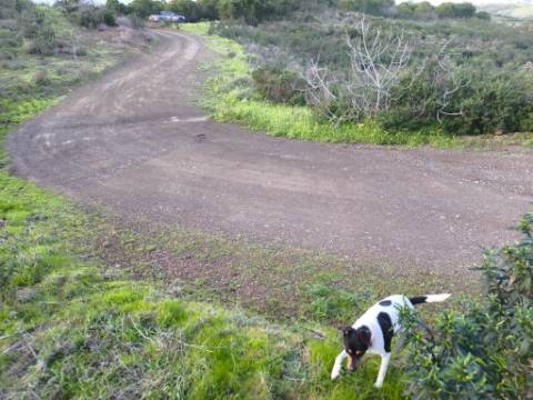 TERRENO COM 57.240 M2 - COM DOIS FUROS DE ÁGUA - PROXIMO A BARRAGEM DO BELICHE - SENTINELA - CASTRO MARIM - ALGARVE