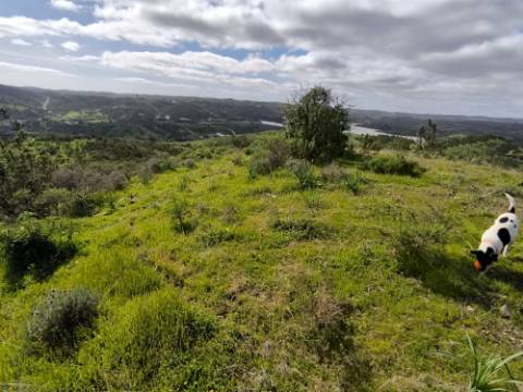 TERRENO COM 57.240 M2 - COM DOIS FUROS DE ÁGUA - PROXIMO A BARRAGEM DO BELICHE - SENTINELA - CASTRO MARIM - ALGARVE
