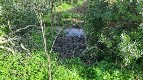 Terreno com 19990 m2 com área total de construção de 1587.62m2