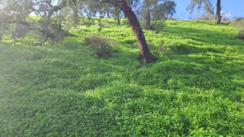 Terreno com 19990 m2 com área total de construção de 1587.62m2