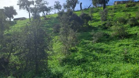 Terreno com 19990 m2 com área total de construção de 1587.62m2