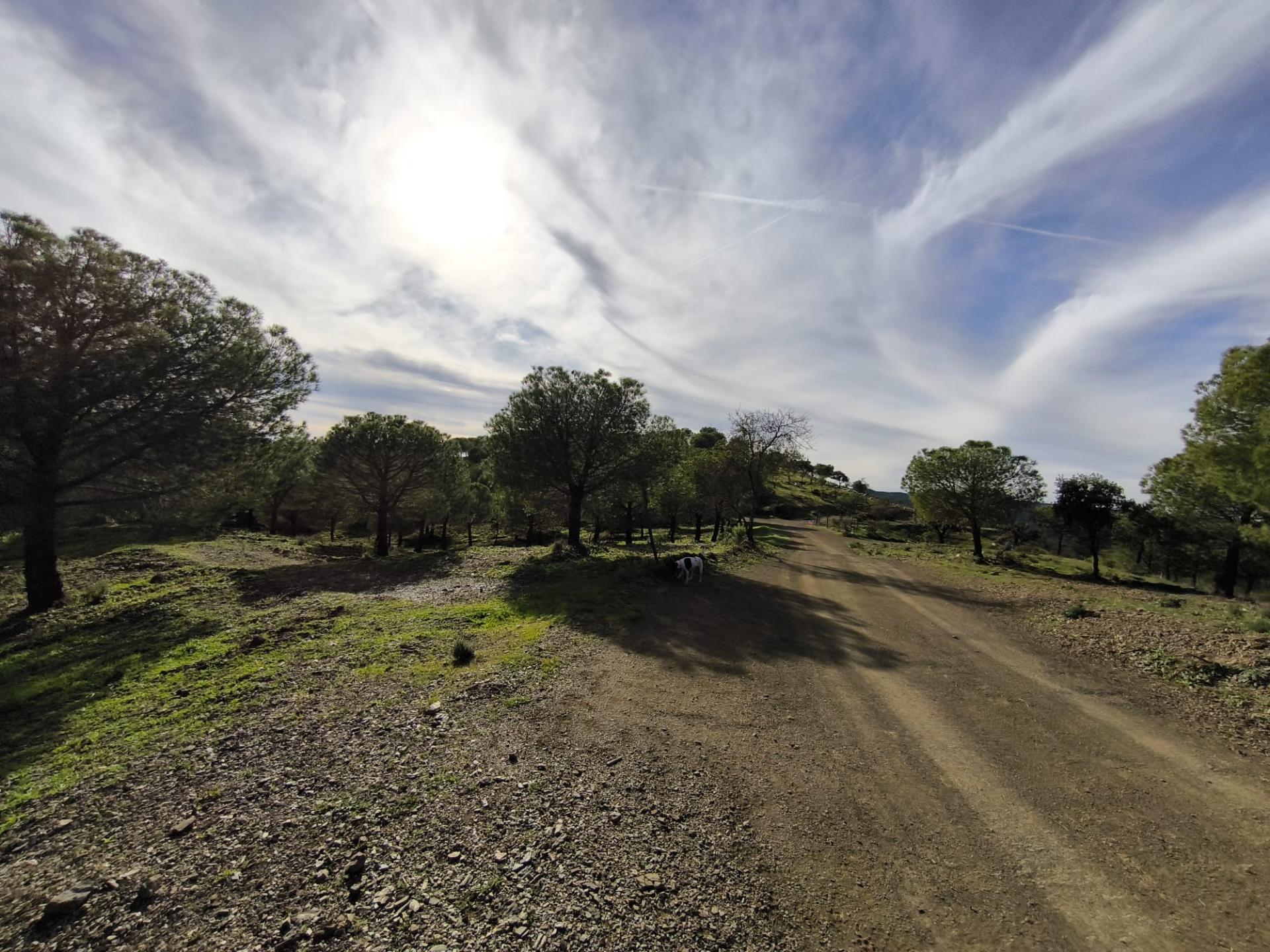 TERRENO COM 76.620 M2 - COM POSSIBILIDADE DE CONSTRUÇÃO - MORADIA E OU TURISMO - COM ÁRVORES - PRÓXMO A FOZ DE ODELEITE - CASTRO MARIM - ALGARVE