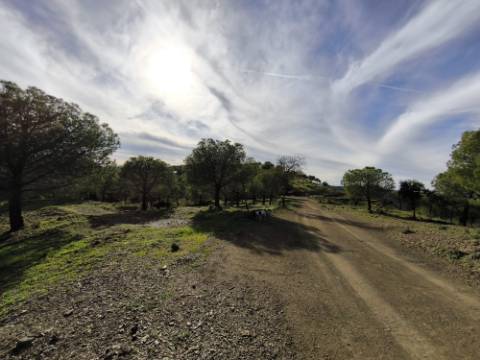 TERRENO COM 76.620 M2 - COM POSSIBILIDADE DE CONSTRUÇÃO - MORADIA E OU TURISMO - COM ÁRVORES - PRÓXMO A FOZ DE ODELEITE - CASTRO MARIM - ALGARVE