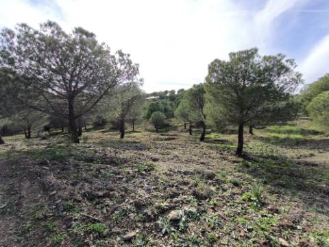 TERRENO COM 76.620 M2 - COM POSSIBILIDADE DE CONSTRUÇÃO - MORADIA E OU TURISMO - COM ÁRVORES - PRÓXMO A FOZ DE ODELEITE - CASTRO MARIM - ALGARVE