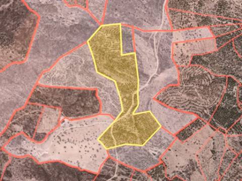 TERRENO COM 76.620 M2 - COM POSSIBILIDADE DE CONSTRUÇÃO - MORADIA E OU TURISMO - COM ÁRVORES - PRÓXMO A FOZ DE ODELEITE - CASTRO MARIM - ALGARVE