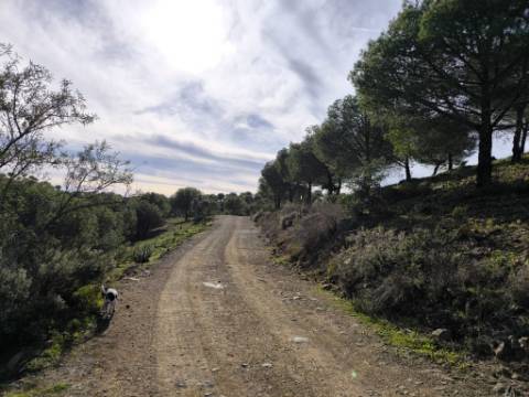TERRENO COM 76.620 M2 - COM POSSIBILIDADE DE CONSTRUÇÃO - MORADIA E OU TURISMO - COM ÁRVORES - PRÓXMO A FOZ DE ODELEITE - CASTRO MARIM - ALGARVE
