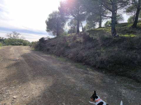 TERRENO COM 76.620 M2 - COM POSSIBILIDADE DE CONSTRUÇÃO - MORADIA E OU TURISMO - COM ÁRVORES - PRÓXMO A FOZ DE ODELEITE - CASTRO MARIM - ALGARVE