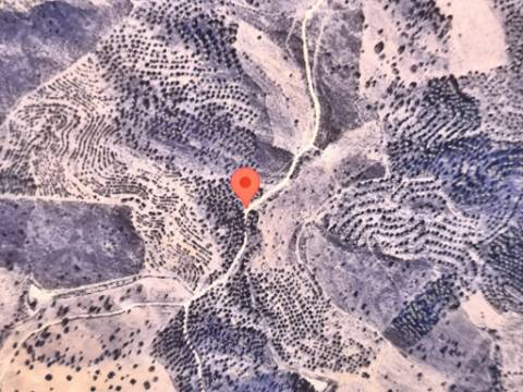 TERRENO COM 76.620 M2 - COM POSSIBILIDADE DE CONSTRUÇÃO - MORADIA E OU TURISMO - COM ÁRVORES - PRÓXMO A FOZ DE ODELEITE - CASTRO MARIM - ALGARVE