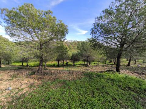 TERRENO COM 76.620 M2 - COM POSSIBILIDADE DE CONSTRUÇÃO - MORADIA E OU TURISMO - COM ÁRVORES - PRÓXMO A FOZ DE ODELEITE - CASTRO MARIM - ALGARVE