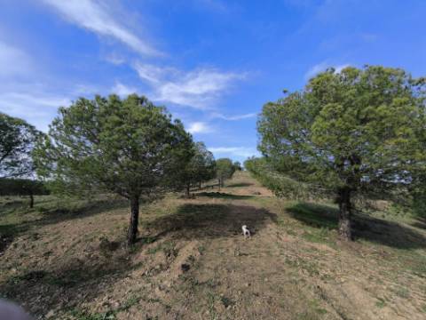 TERRENO COM 76.620 M2 - COM POSSIBILIDADE DE CONSTRUÇÃO - MORADIA E OU TURISMO - COM ÁRVORES - PRÓXMO A FOZ DE ODELEITE - CASTRO MARIM - ALGARVE