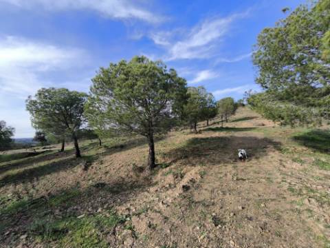 TERRENO COM 76.620 M2 - COM POSSIBILIDADE DE CONSTRUÇÃO - MORADIA E OU TURISMO - COM ÁRVORES - PRÓXMO A FOZ DE ODELEITE - CASTRO MARIM - ALGARVE