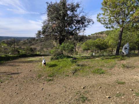 TERRENO COM 76.620 M2 - COM POSSIBILIDADE DE CONSTRUÇÃO - MORADIA E OU TURISMO - COM ÁRVORES - PRÓXMO A FOZ DE ODELEITE - CASTRO MARIM - ALGARVE